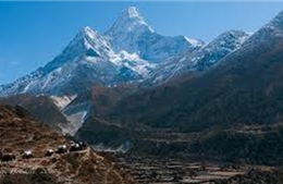 Xác minh tin người Việt mất tích do lở tuyết tại Nepal
